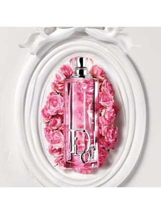 DIOR Addict Rosy Duo Bundle